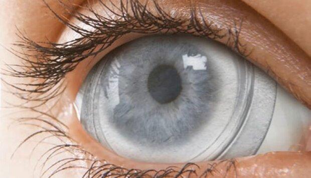 فراوری پانسمان چشمی با سلول بنیادی جفت جنین